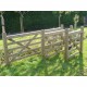 Portail FAYS 4 250 x H120cm